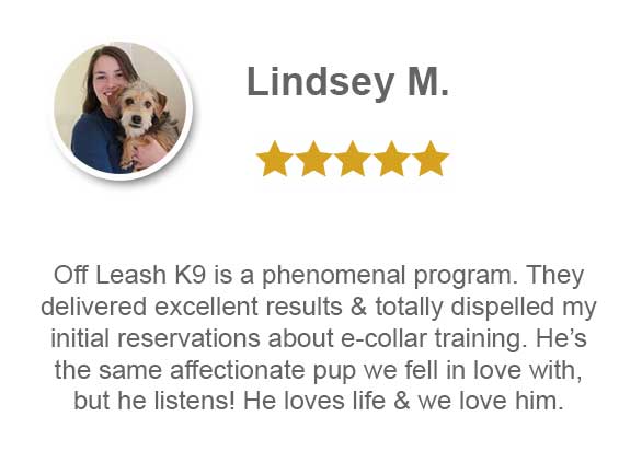 Pff Leash K9 isa phenomenal program. They delivered excellent results & totally dispelled my initial reservations about e-collar training. He's the same affectionate pup we fell in love with but he listens! he loves life & we love him.