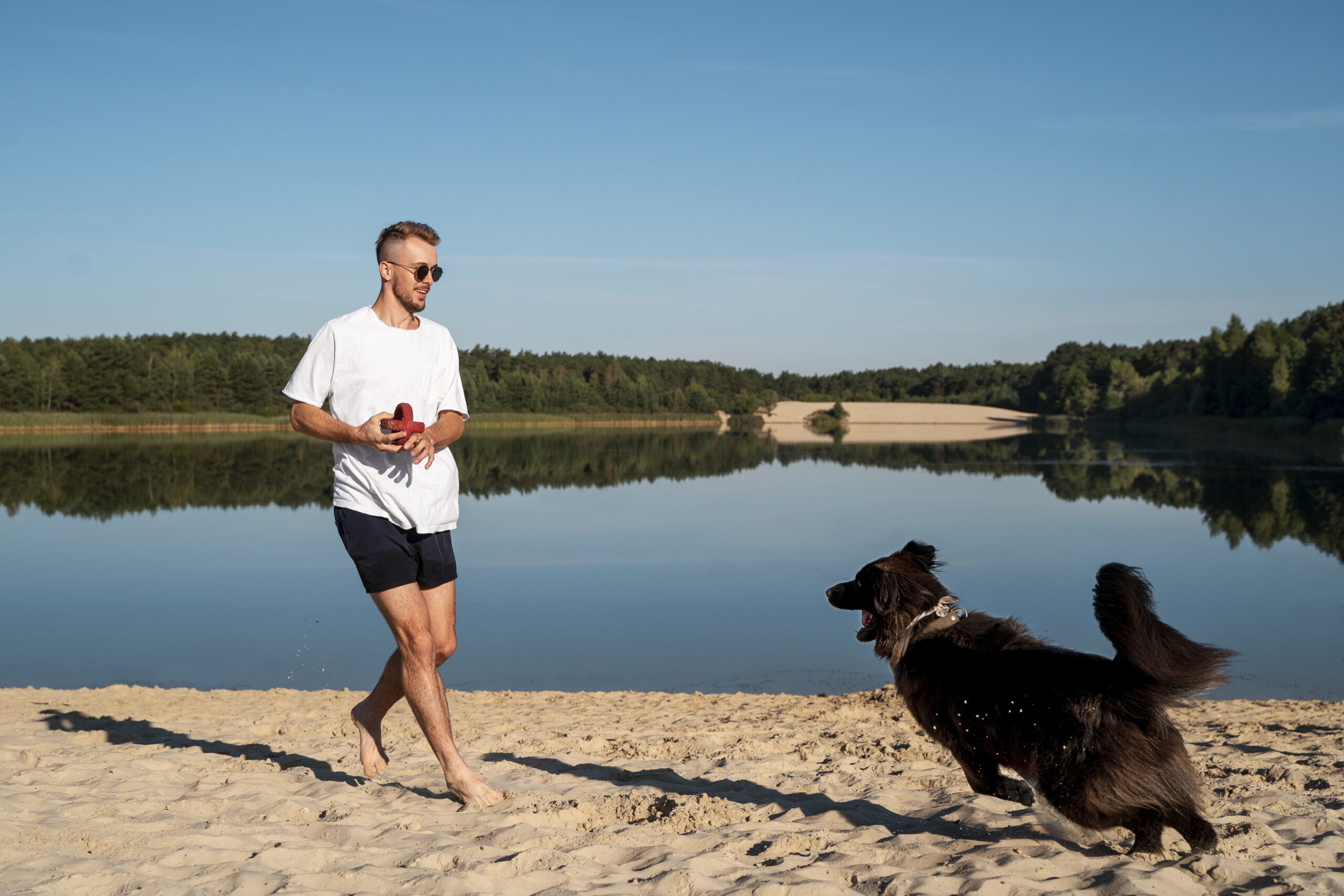 The Importance of Exercise for Dogs Off Leash K9 Training West Palm Beach