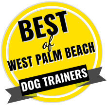 Best of West Palm Beach